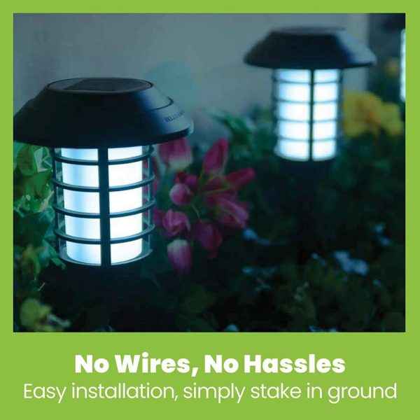 2-in-1 Solar Flame Lamp | Waterproof LED Outdoor Garden Light